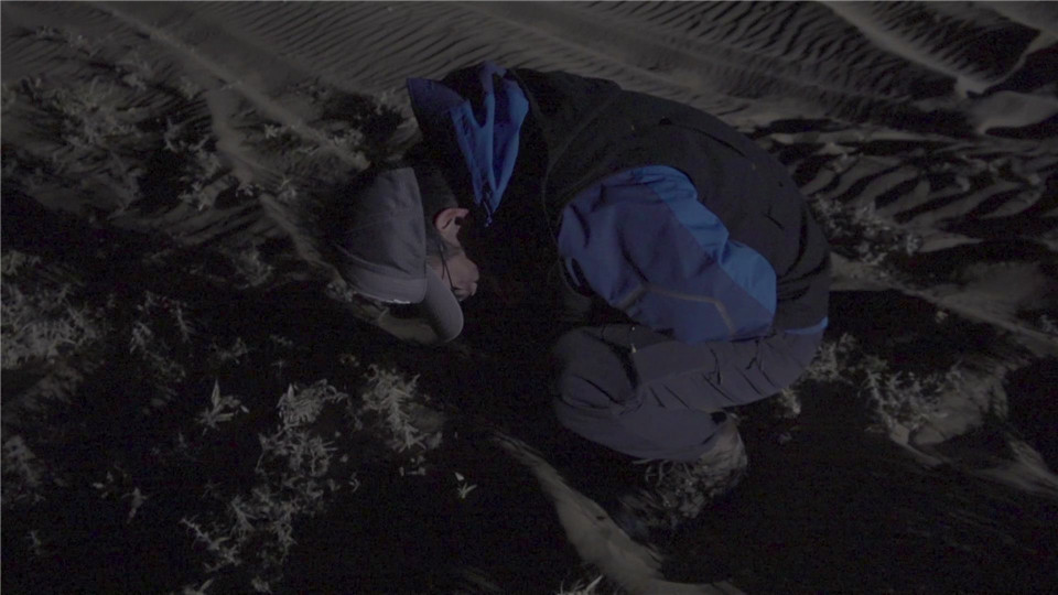  昂热补时阶段绝杀到手，惊险取胜逃离降级区泥潭